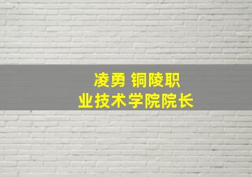 凌勇 铜陵职业技术学院院长